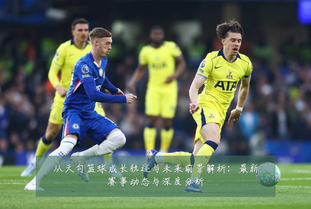 从天勾篮球成长轨迹与未来前景解析：最新赛事动态与深度分析